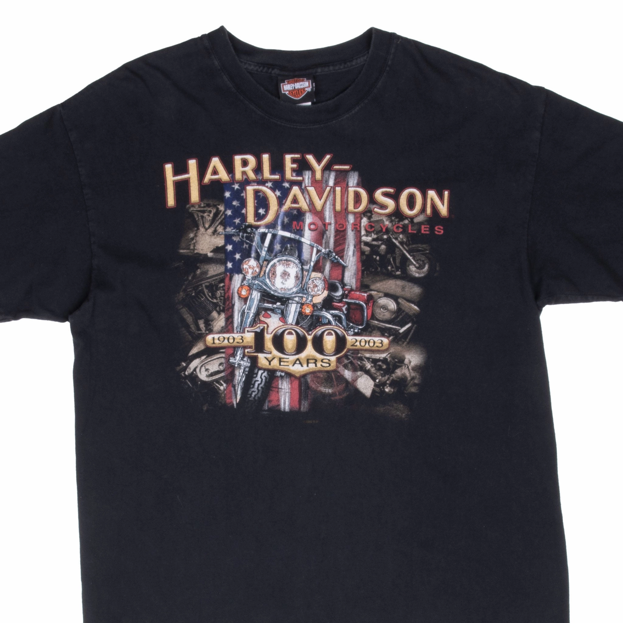 VINTAGE HARLEY DAVIDSON 100 YEARS ANNIVERSARY TEE SHIRT 2003 LARGE MADE IN USA Non Iron Finish