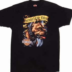 Colorfast Dye VINTAGE 3D EMBLEM HARLEY DAVIDSON TEE SHIRT 1991 SIZE MEDIUM MADE IN USA