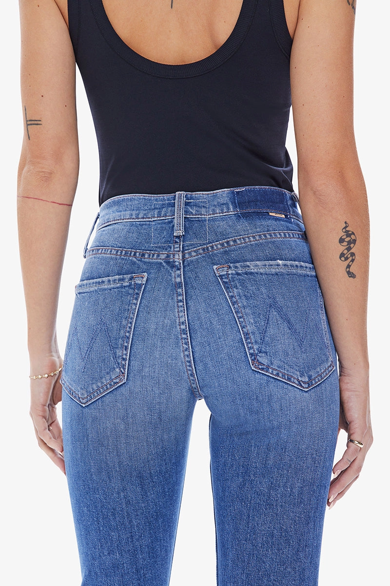 Sharp Vibe The Tomcat