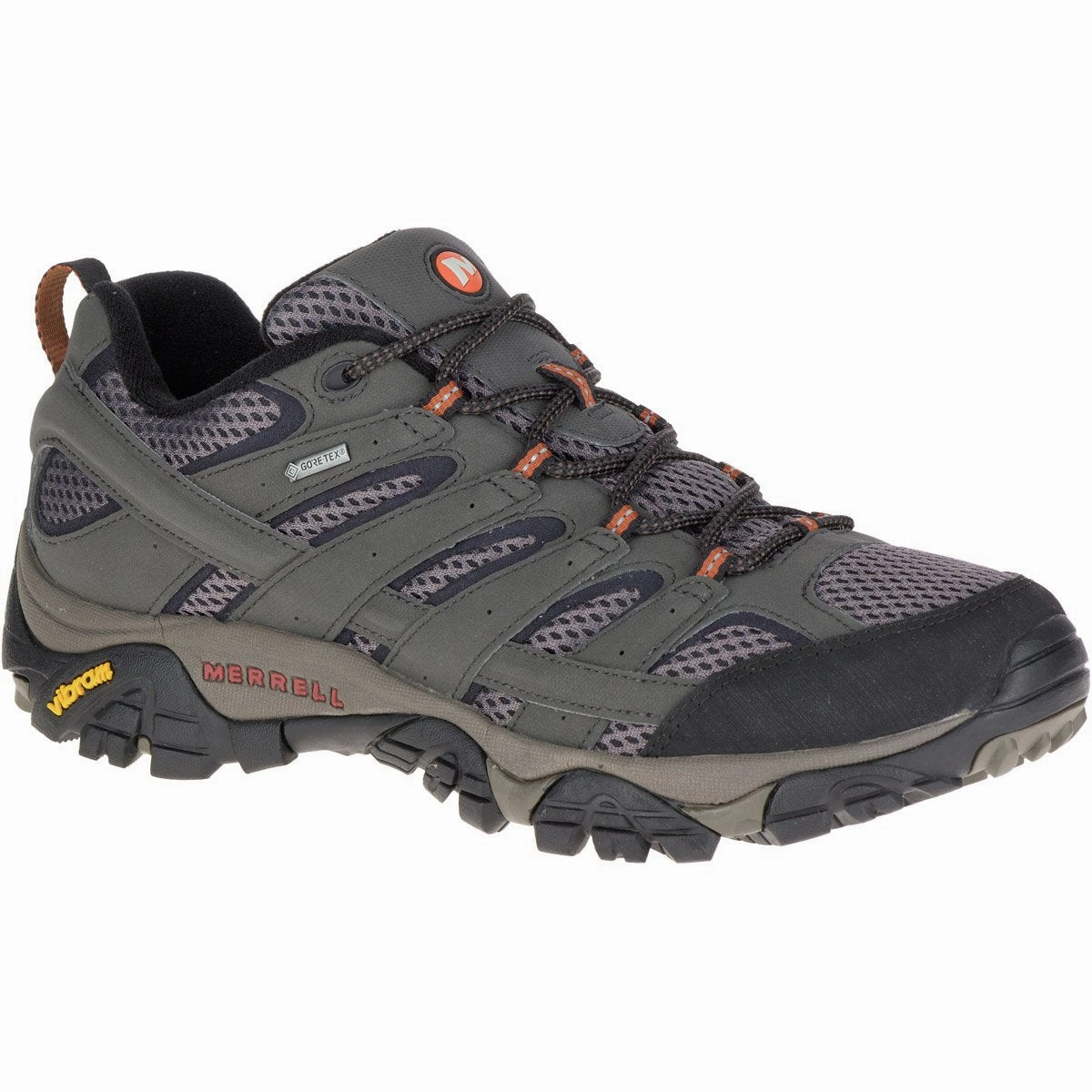 Men's Moab 2 Gore-Tex Supportive sole Mountain Footwear