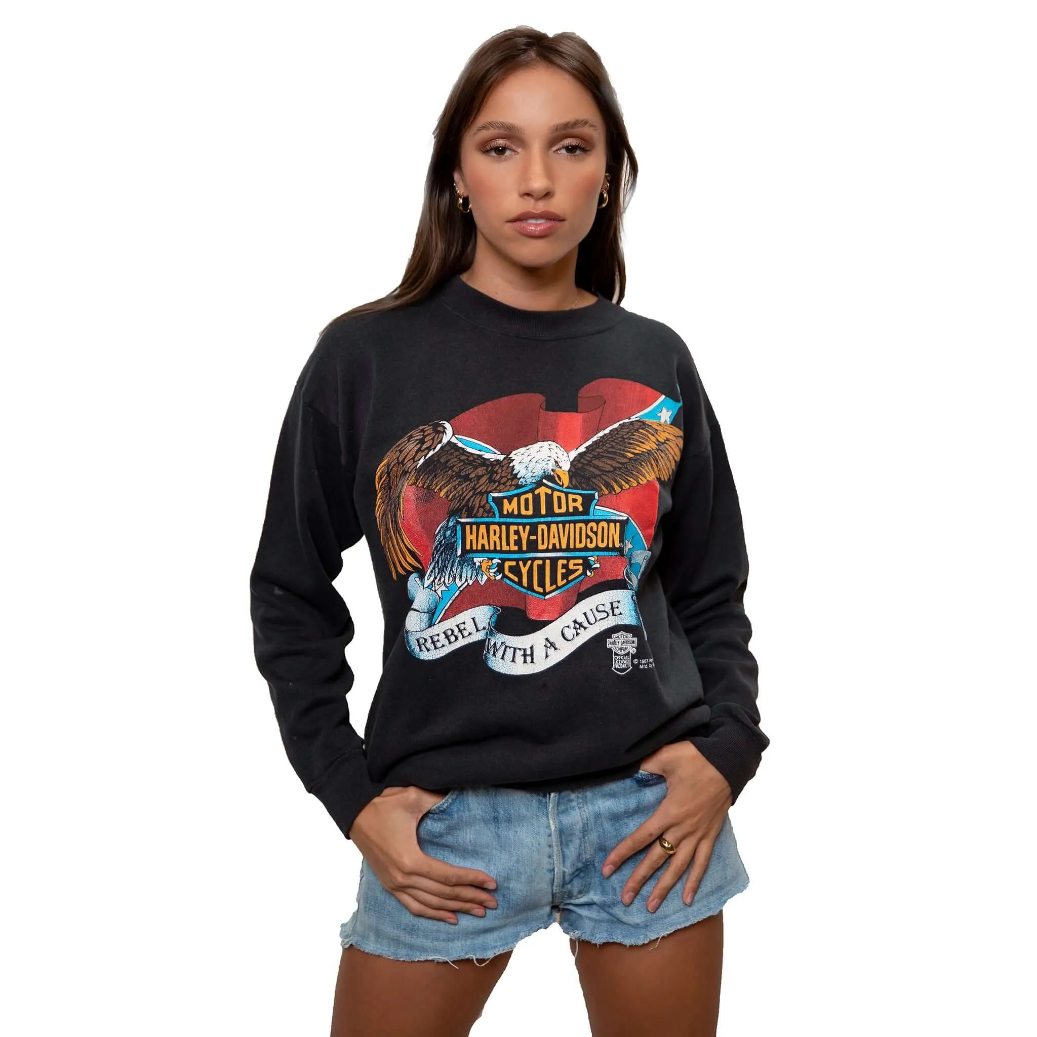 VINTAGE HARLEY DAVIDSON SWEATSHIRT 1987 SIZE LARGE MADE IN USA Flexible Hood Sport Night