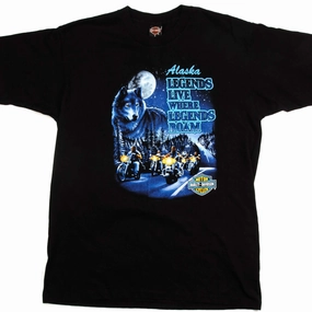 VINTAGE HARLEY DAVIDSON TEE SHIRT BY HOLOUBEK 1995 SIZE XL MADE IN USA Seasonal Smart