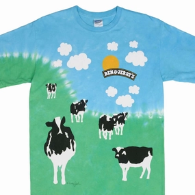 VINTAGE TIE DYE BEN & JERRY'S EUPHORIA 2000S TEE SHIRT SIZE MEDIUM ReinforcedNeckline